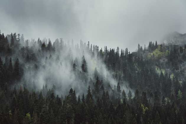 Misty morning on Durmitor mountain by Zabljak on Unsplash